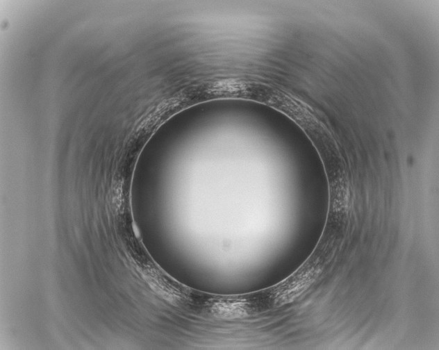 X0000059830560200510241424