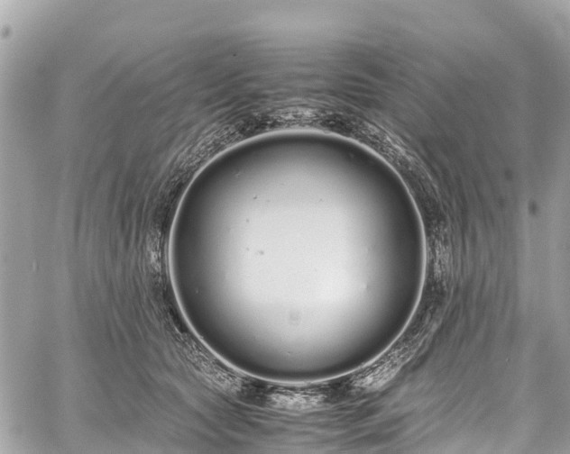 X0000059830561200510241424