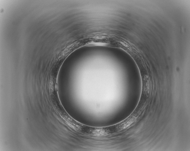 X0000059830562200510241424