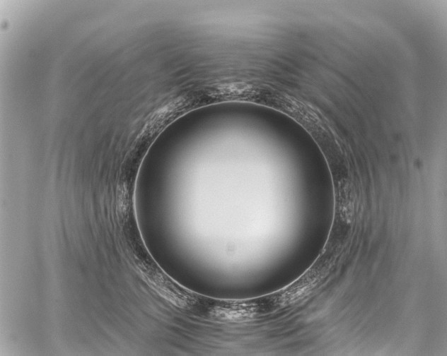 X0000059830563200510241424