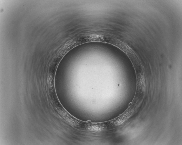 X0000059830565200510241424