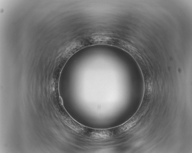 X0000059830567200510241424