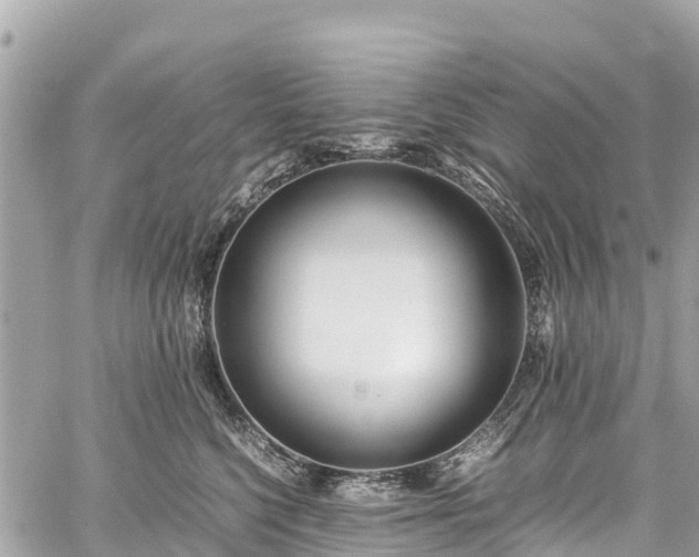 X0000059830568200510241424