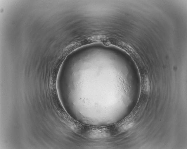 X0000059830569200510241424