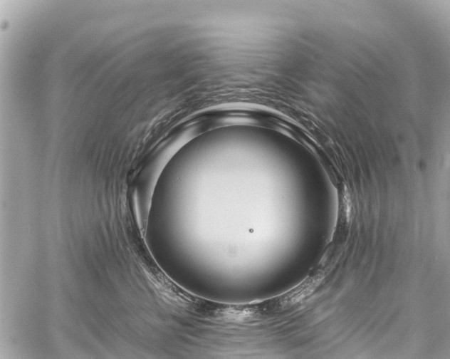 X0000059830570200510241424