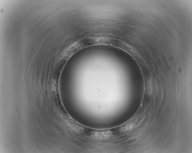 X0000059830571200510241424