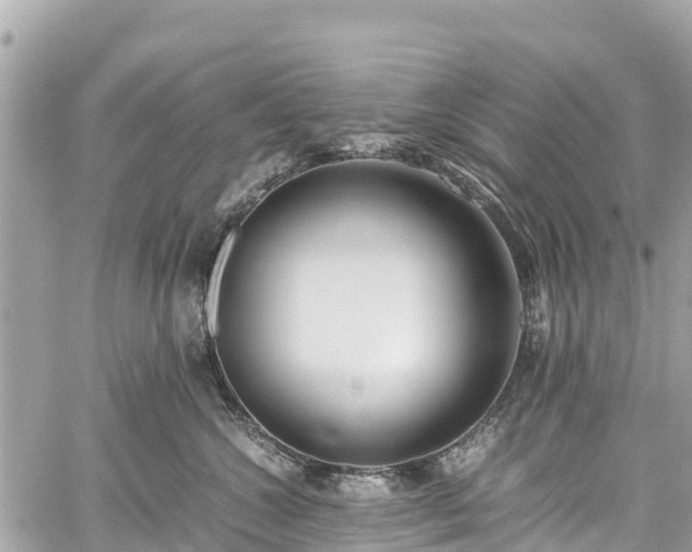 X0000059830572200510241424