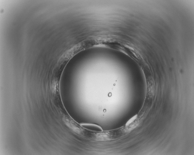 X0000059830574200510241424