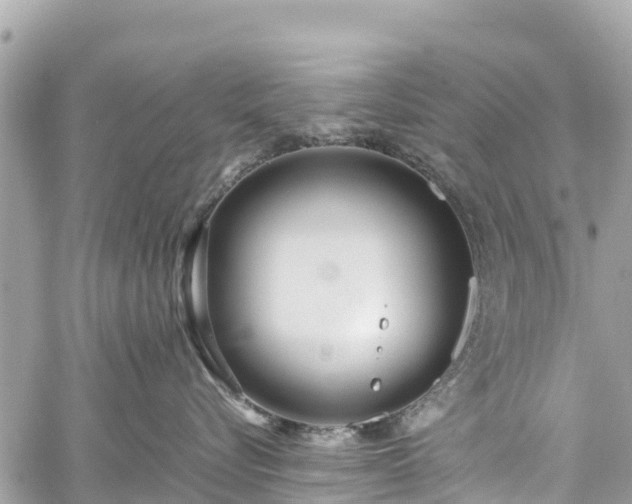 X0000059830576200510241424