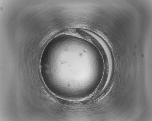 X0000059830577200510241423