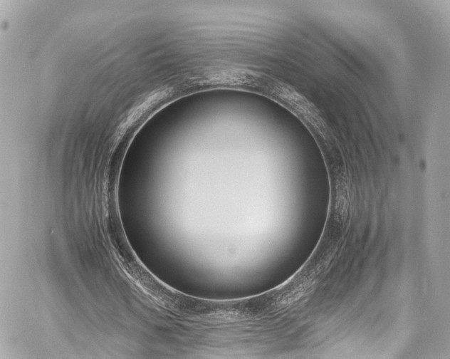 X0000059830578200510241423