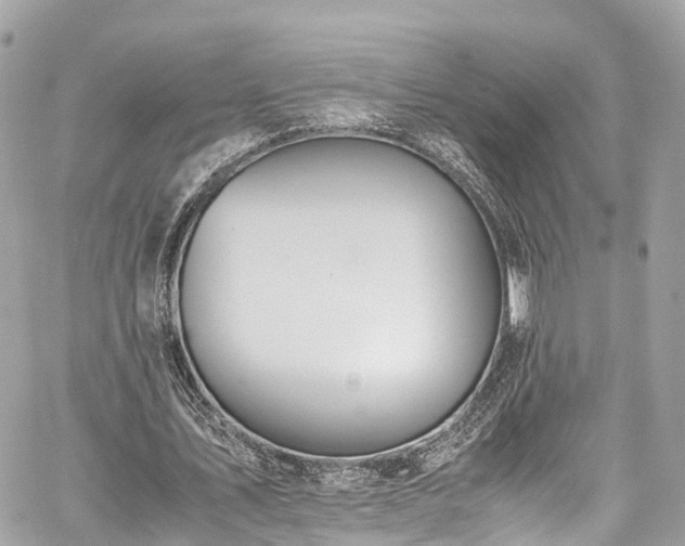 X0000059830579200510241423