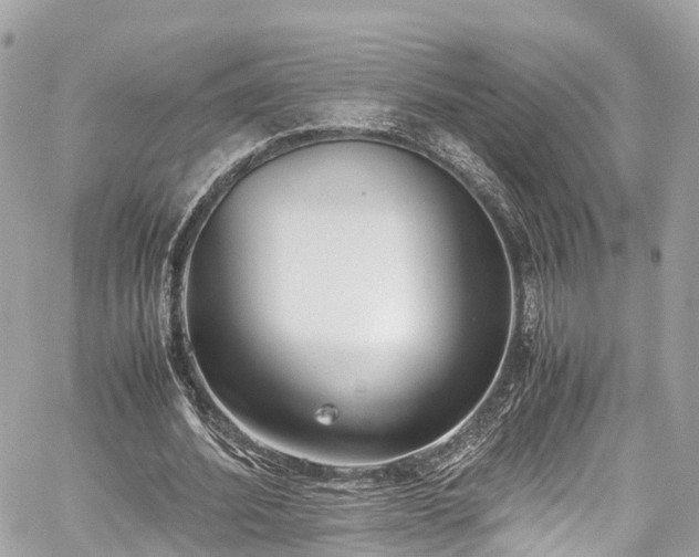 X0000059830580200510241423