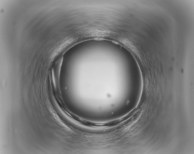 X0000059830581200510241423