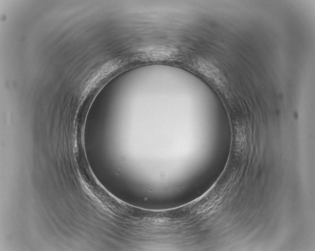 X0000059830582200510241423