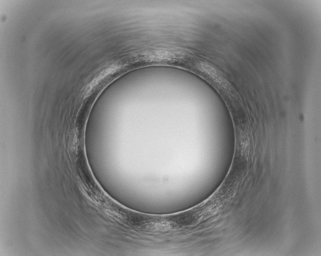 X0000059830583200510241423