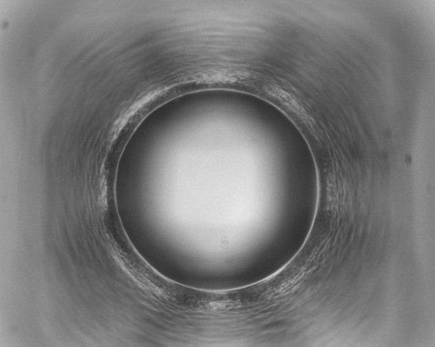 X0000059830584200510241423