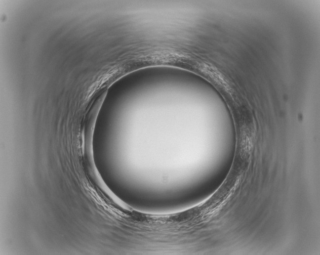 X0000059830585200510241423