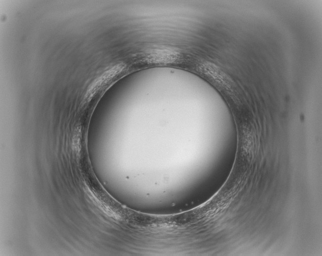 X0000059830586200510241423