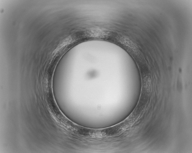 X0000059830587200510241423