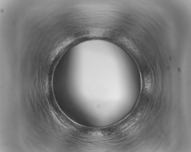 X0000059830588200510241423