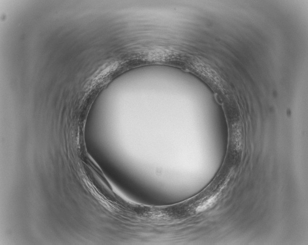 X0000059830589200510241423