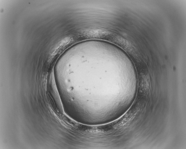 X0000059830590200510241423