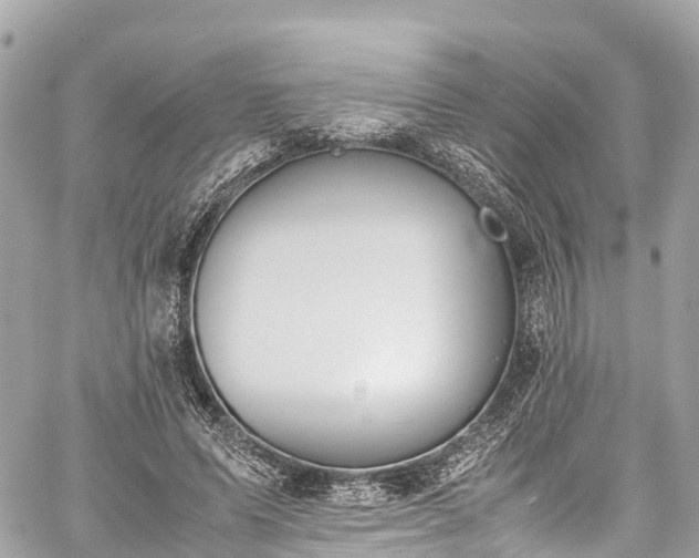 X0000059830591200510241423