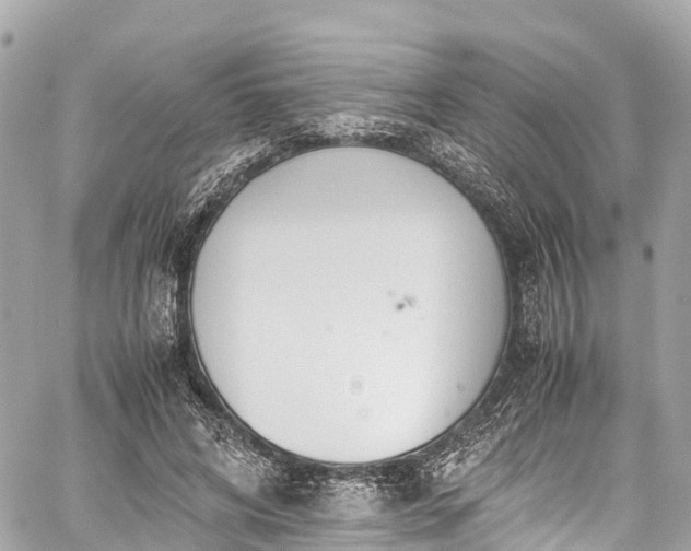 X0000059830592200510241423