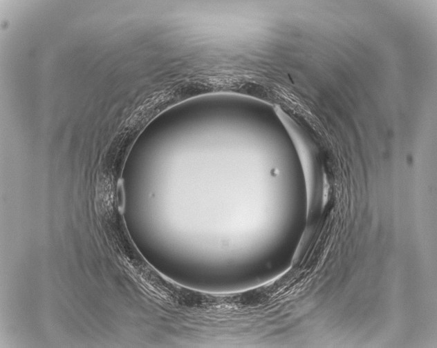 X0000059830593200510241423