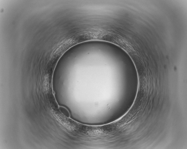 X0000059830594200510241423