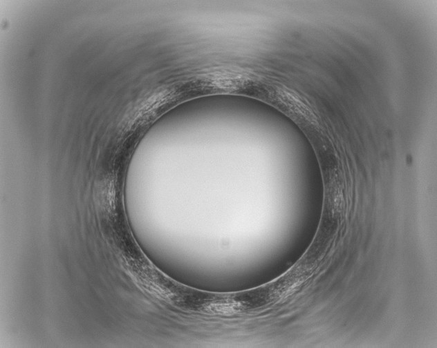 X0000059830595200510241423