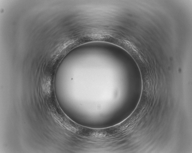 X0000059830596200510241423