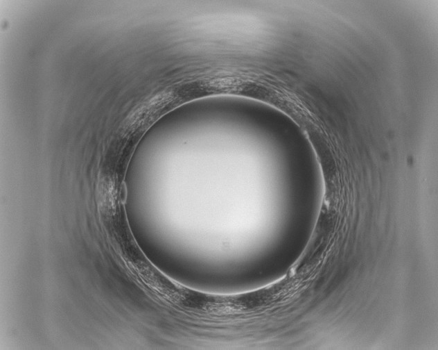 X0000059830597200510241423