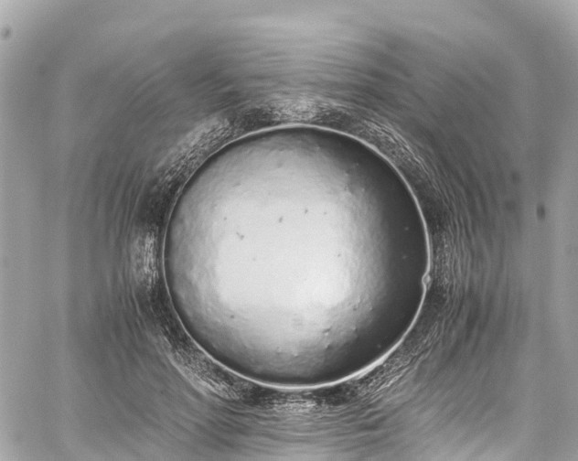 X0000059830598200510241423