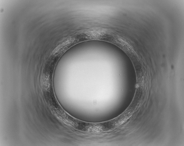 X0000059830599200510241423