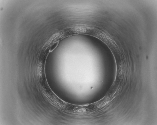 X0000059830600200510241423