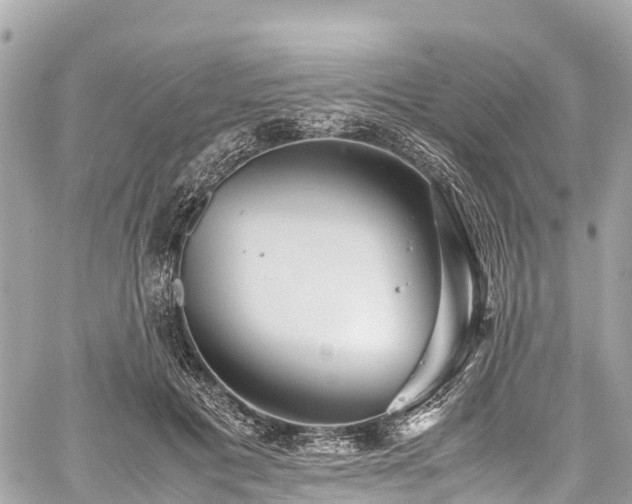 X0000059830601200510241423