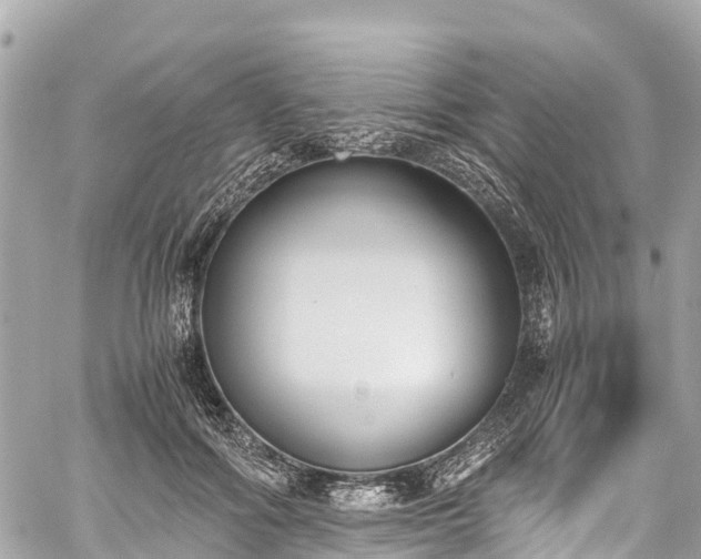 X0000059830602200510241423