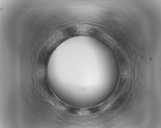 X0000059830603200510241423