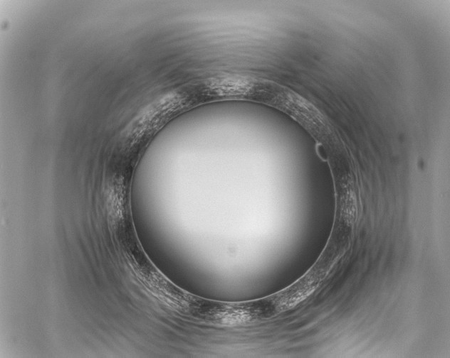 X0000059830604200510241423