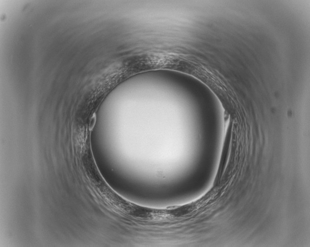 X0000059830605200510241423