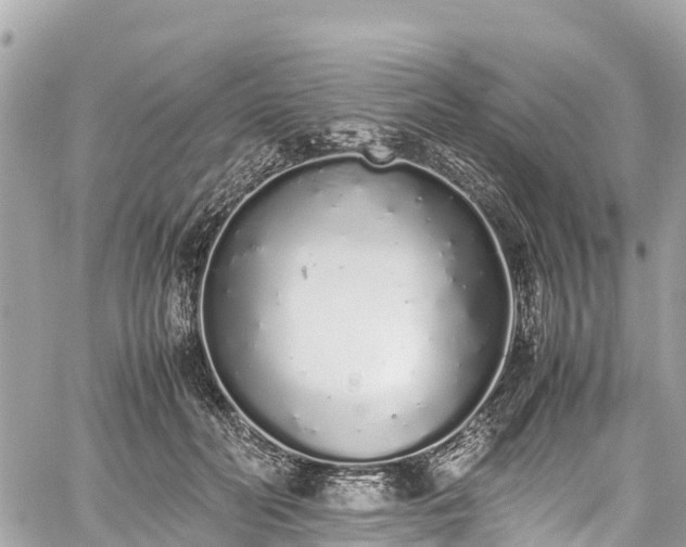 X0000059830606200510241423