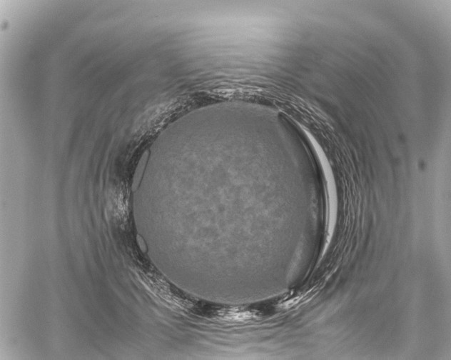 X0000059830607200510241423