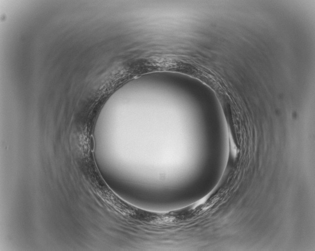 X0000059830609200510241423