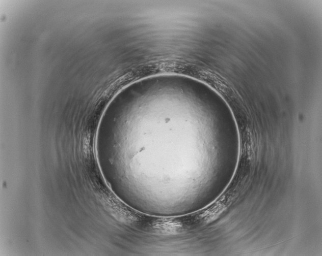 X0000059830610200510241423