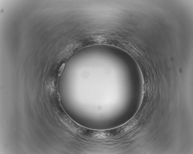 X0000059830611200510241423