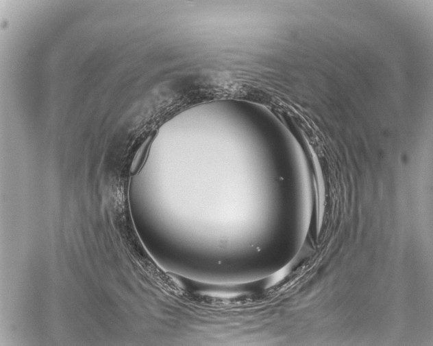 X0000059830613200510241423