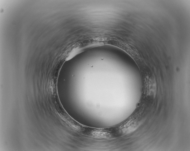 X0000059830614200510241423