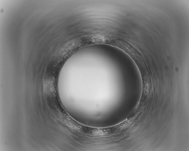 X0000059830616200510241423